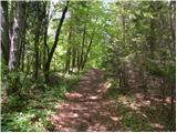 Planina (Dolnja Planina) - Hunting cottage on Planinska gora